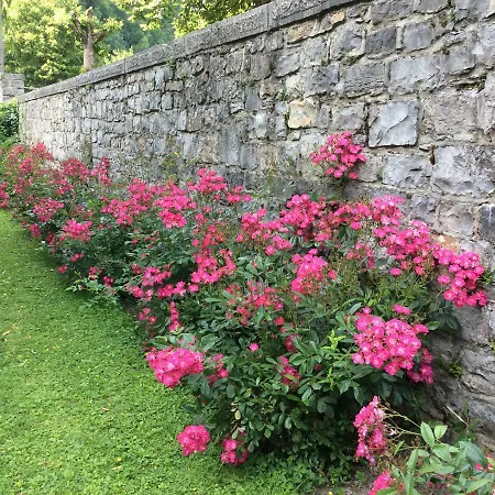 La Des Roses Apartment Durbuy