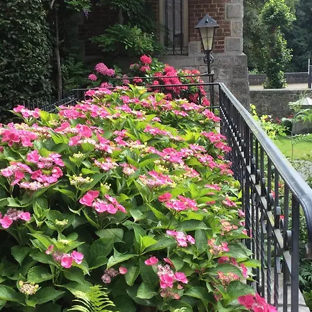 La Des Roses * Durbuy