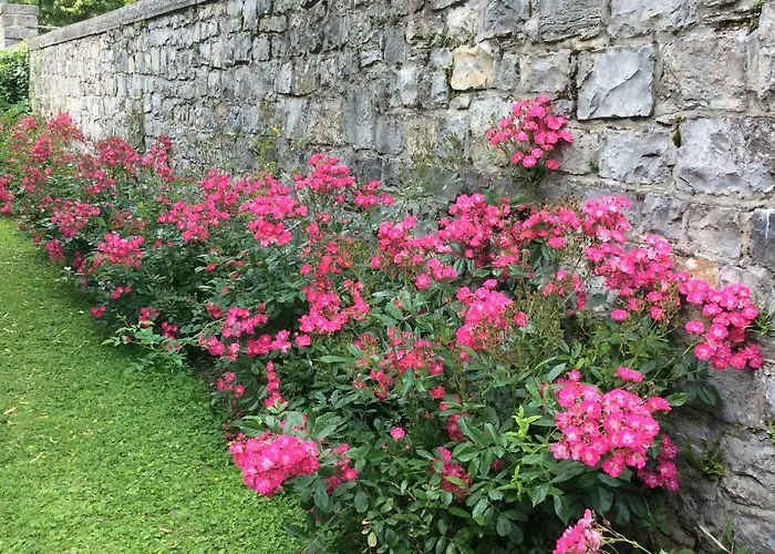 La Des Roses Appartement Durbuy